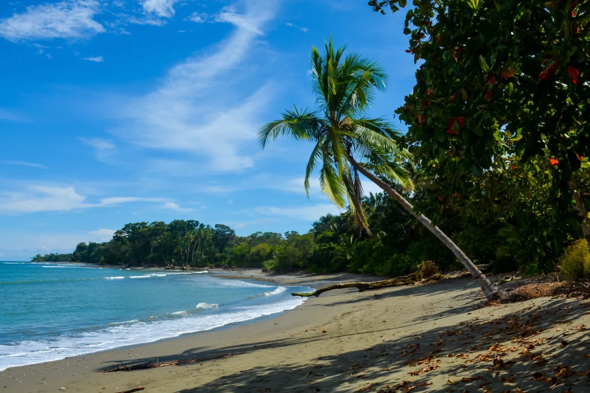 Blue Osa, Costa Rica