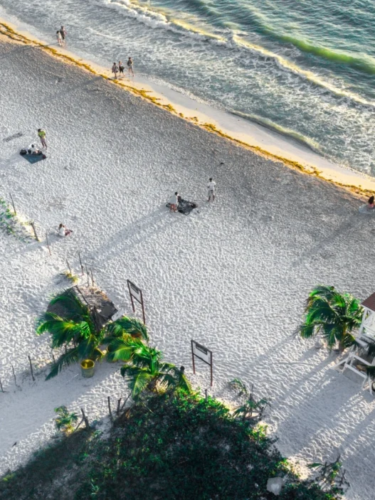 Tulum yoga retreat