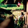 Digital detox retreat